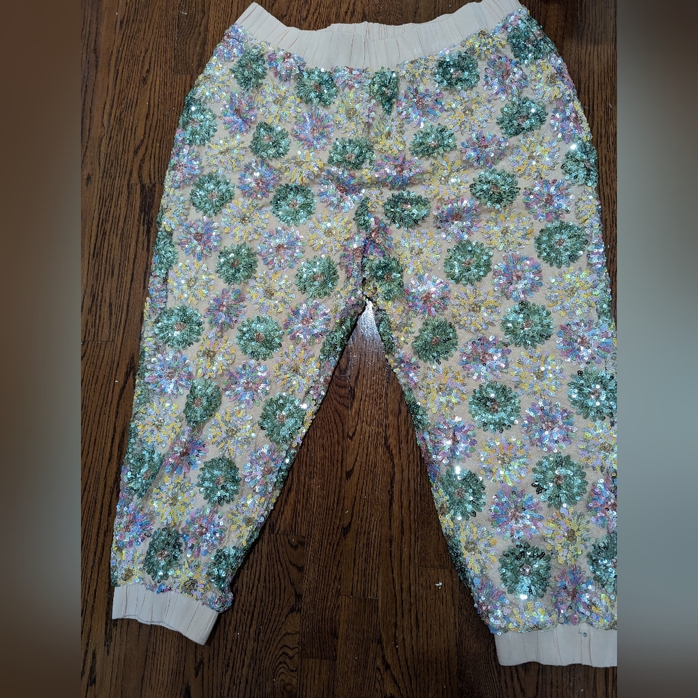 Nwt Eva Franco sequin pants